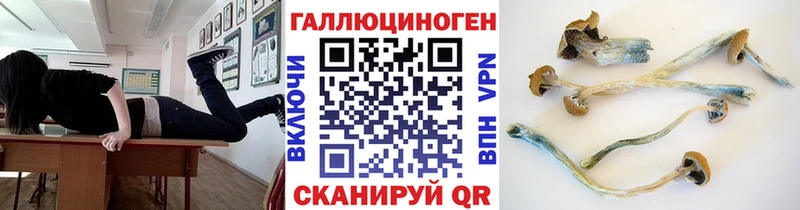Купить где  Сертолово  Галлюциногенные грибы мухоморы 
